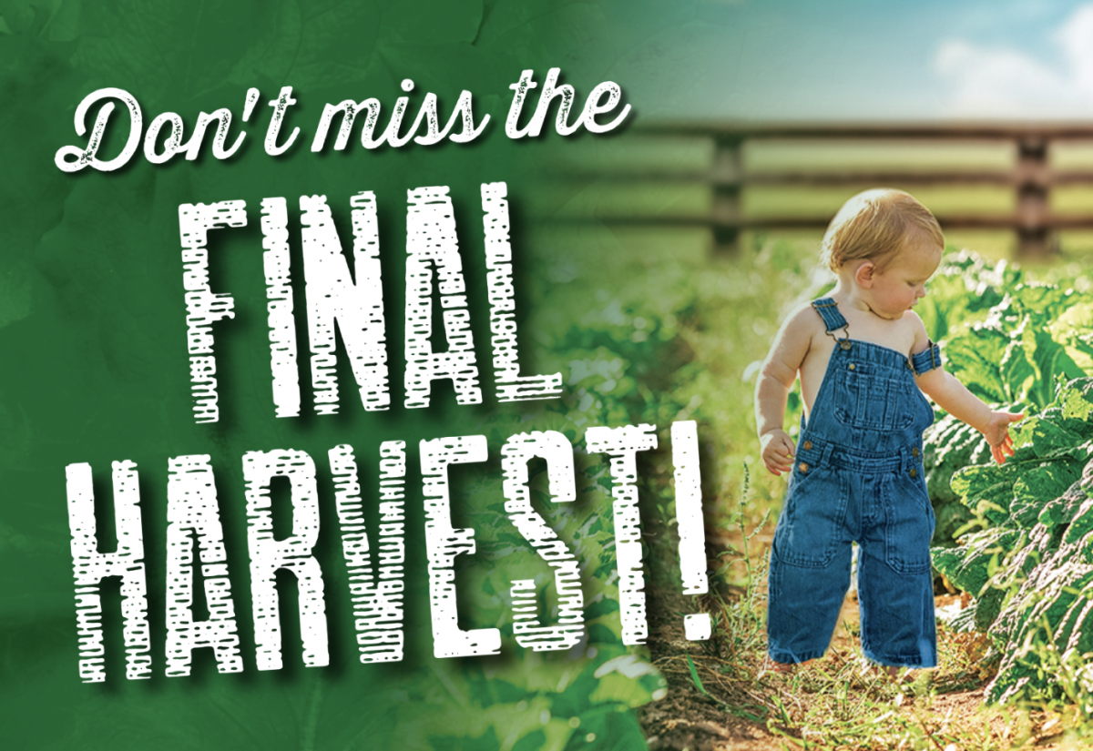 Harvest Green Ranks Among Top MPCs, Enters ‘Final Harvest’!